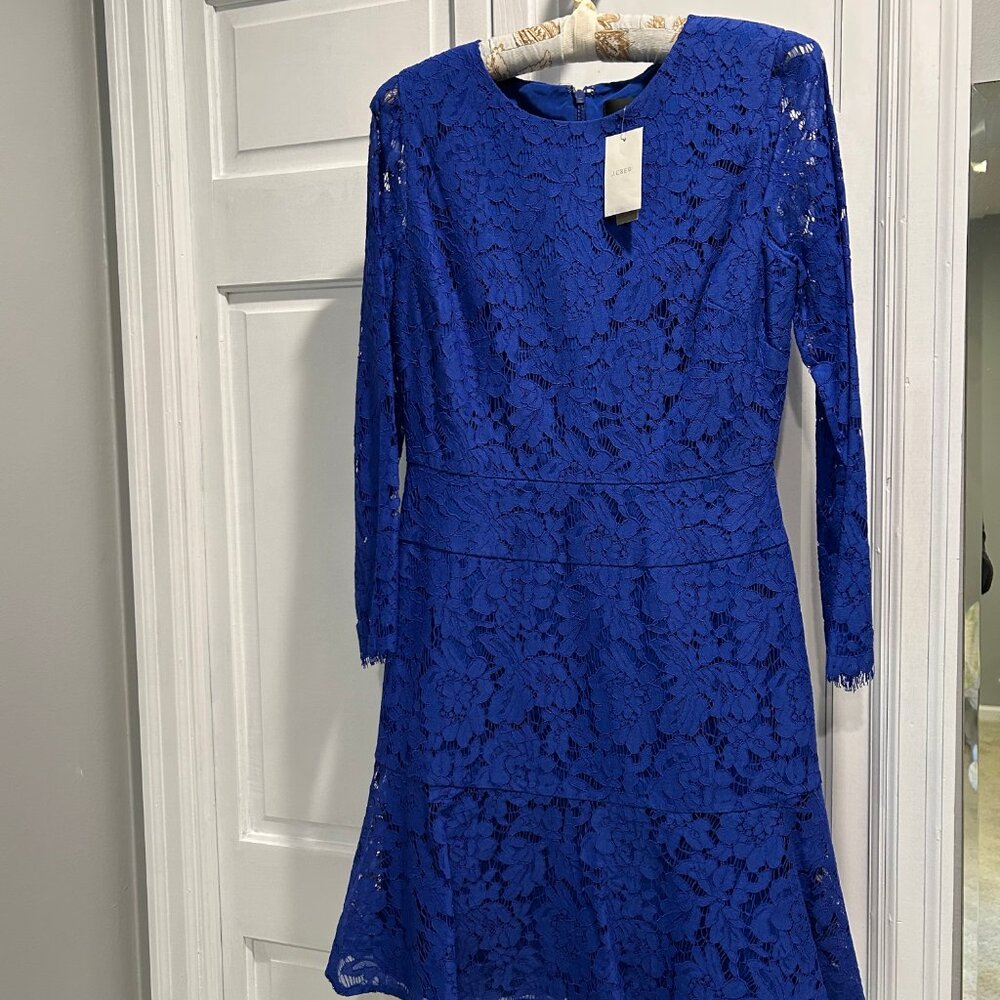 J.Crew  Dress in Leavers Lace Wedding guest, party